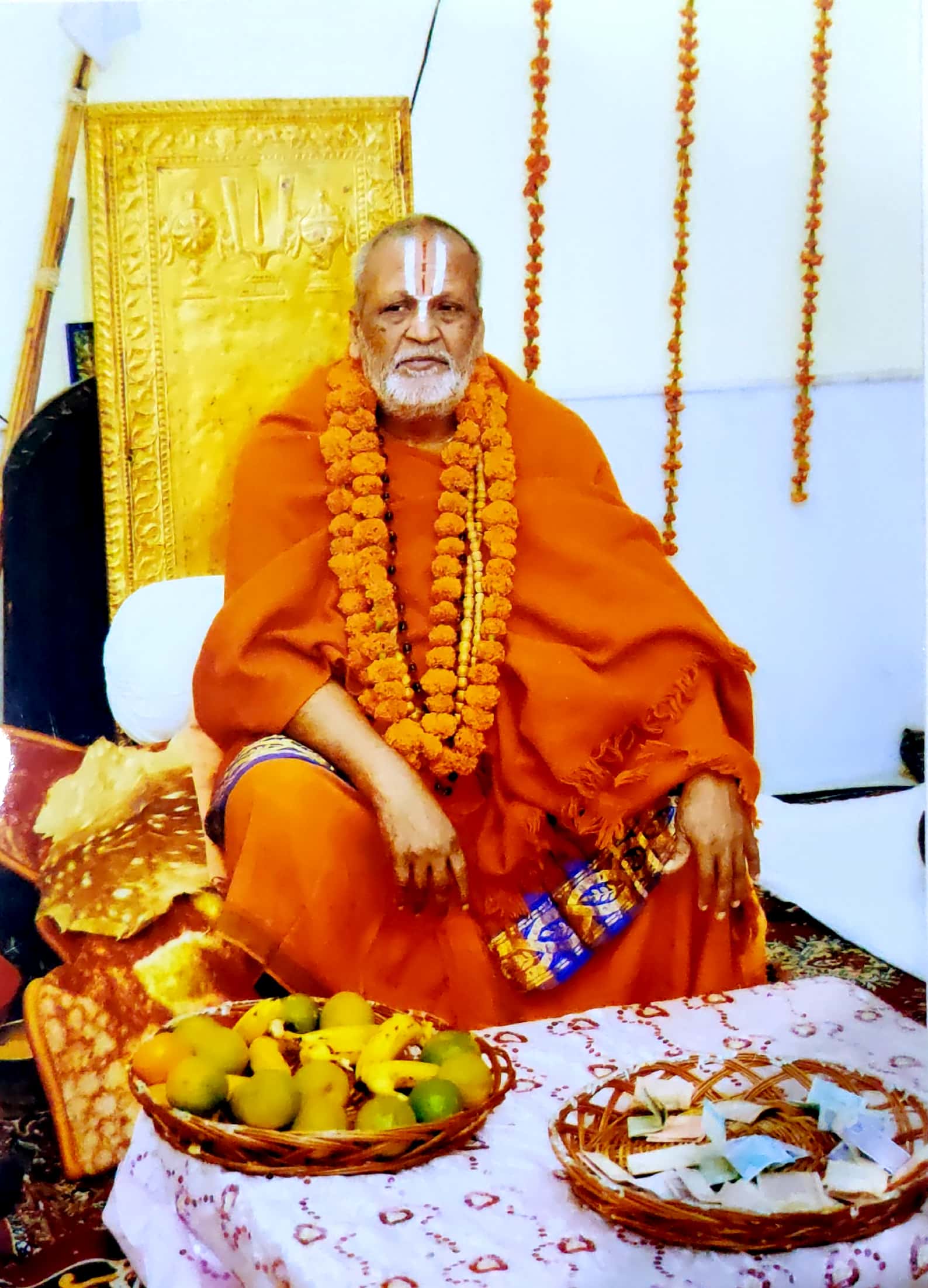 Mata Padmavati Ji Sthapna Diwas 2019